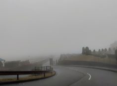 霊園北入口から園内風景