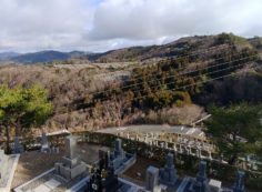 8区4番枝道駐車場から園内風景