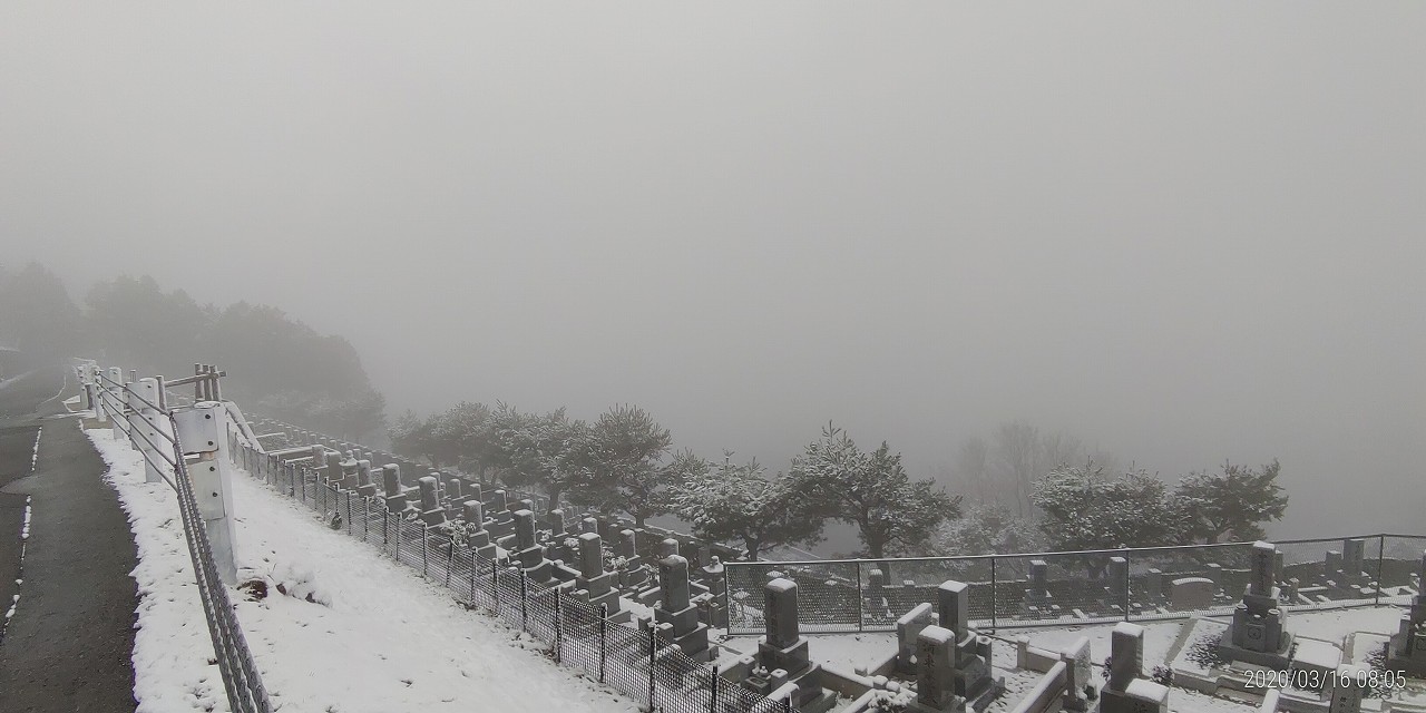 8区4/5番枝道から階段墓域風景