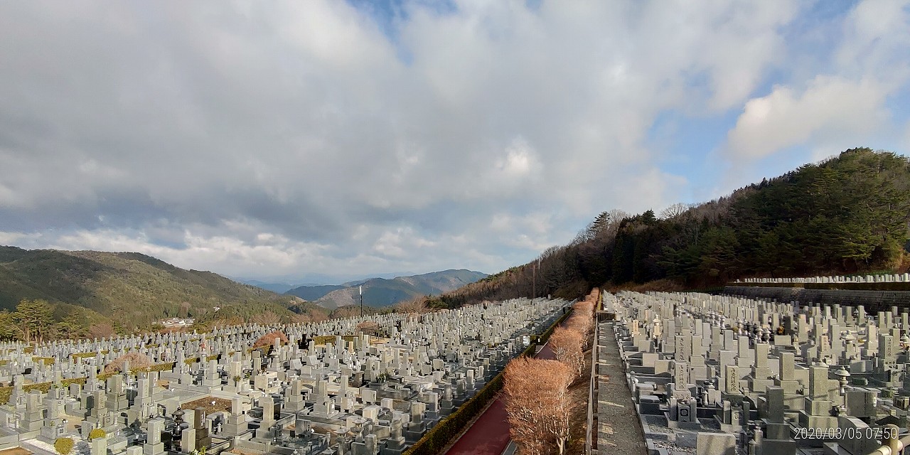 11区7番墓所から園内（北）風景