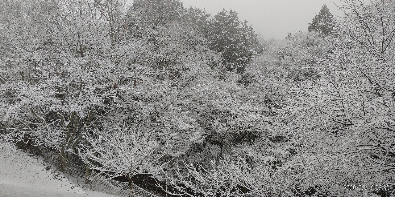 雪化粧・中央休憩所裏風景