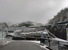 10区バス停から旧高山道風景（10区墓域）