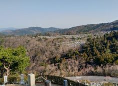 8区4番枝道駐車場から園内風景