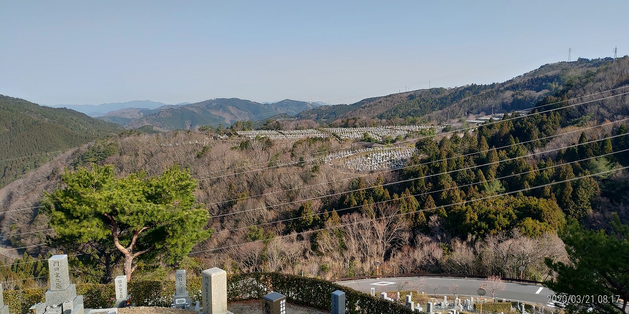 8区4番枝道駐車場から園内風景