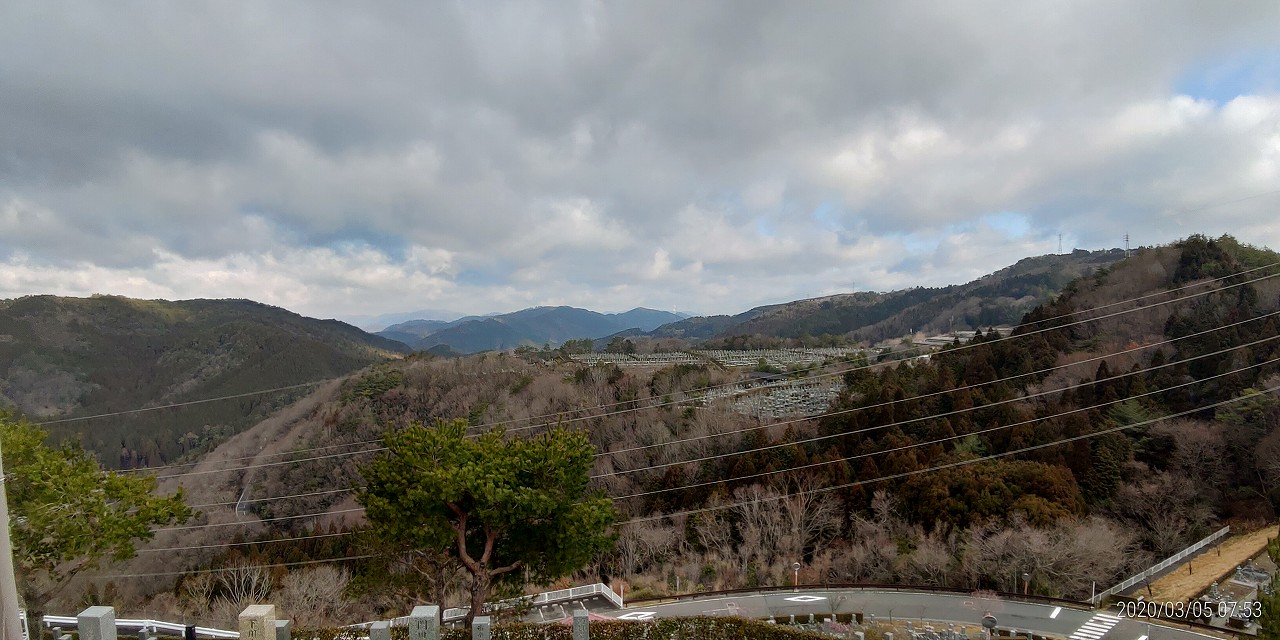 8区4番枝道駐車場から園内風景