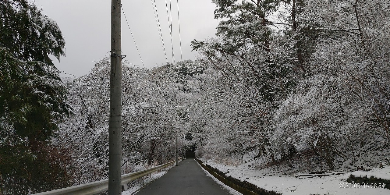 雪化粧・霊園から旧高山道