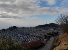 11区1番墓所から園内（南）風景