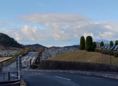 霊園北入口から園内風景