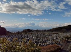 11区1番墓所から園内（南）風景