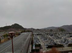 11区4番墓所から園内風景