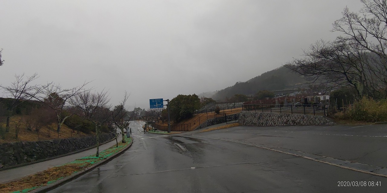 バス通り・八天の森から園内風景