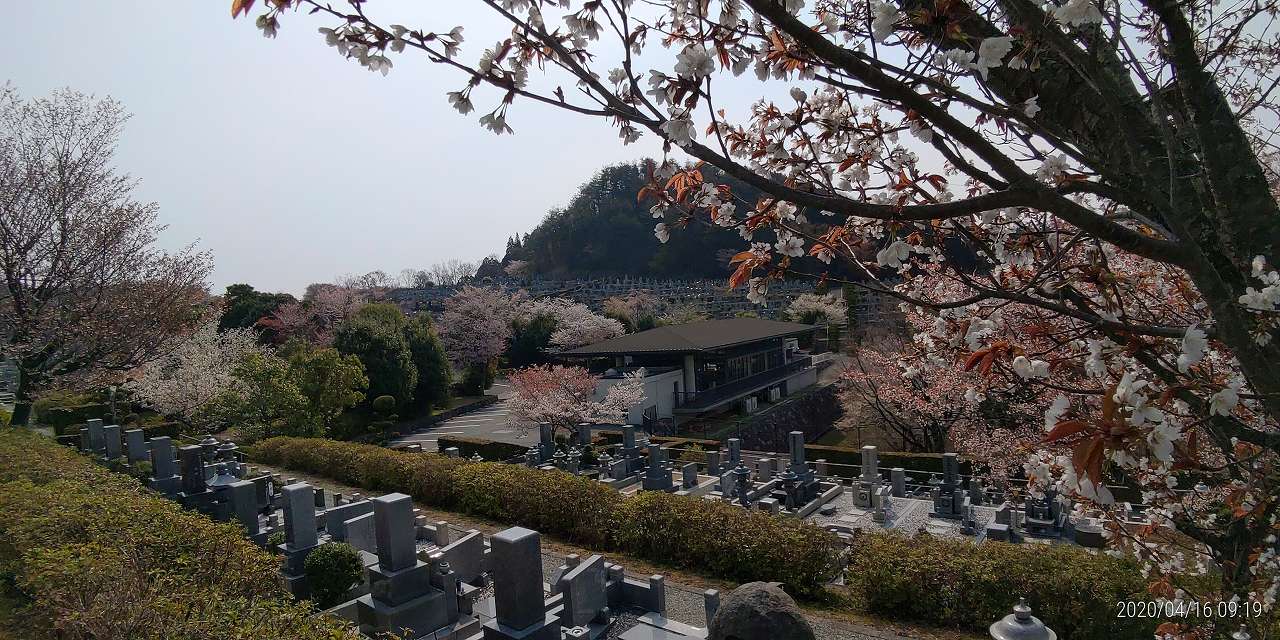 3区墓所から中央休憩所風景