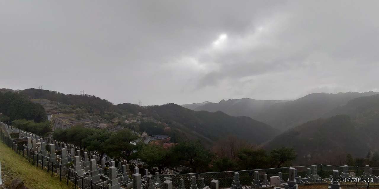 8区4/5番枝道から階段墓域風景