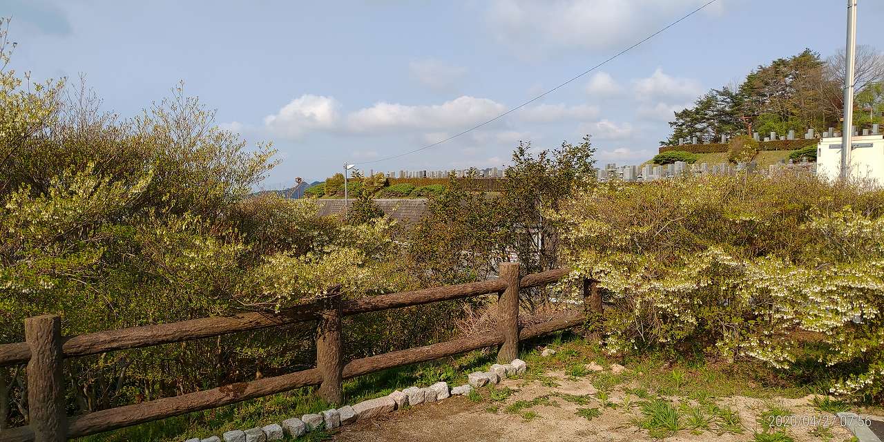 北口休憩所から園内風景