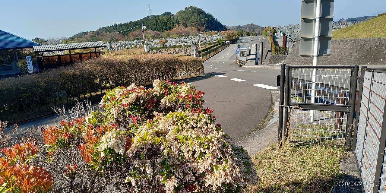 北入口から園内風景②