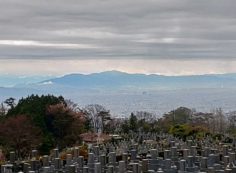 11区1番墓所から（大阪平野）南方向②