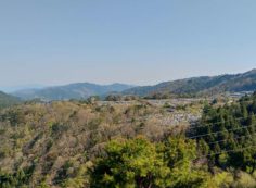 8区4番枝道駐車場から園内風景