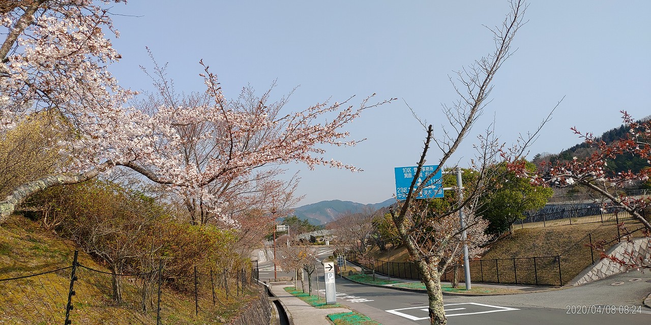 2区2番墓所から園内（バス通り）風景