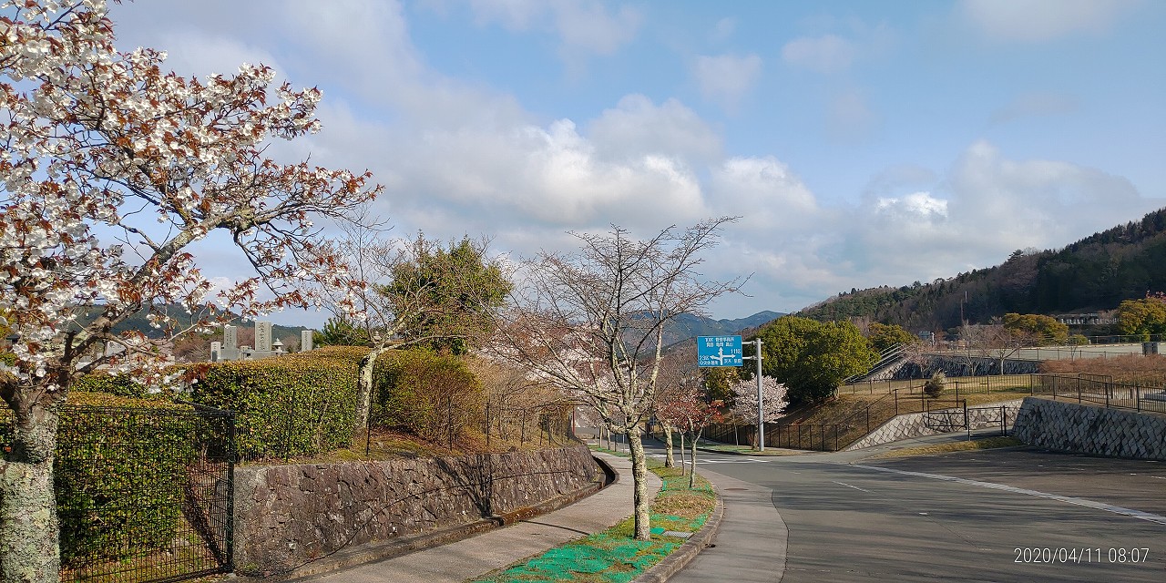 バス通り・2区2番横から園内風景