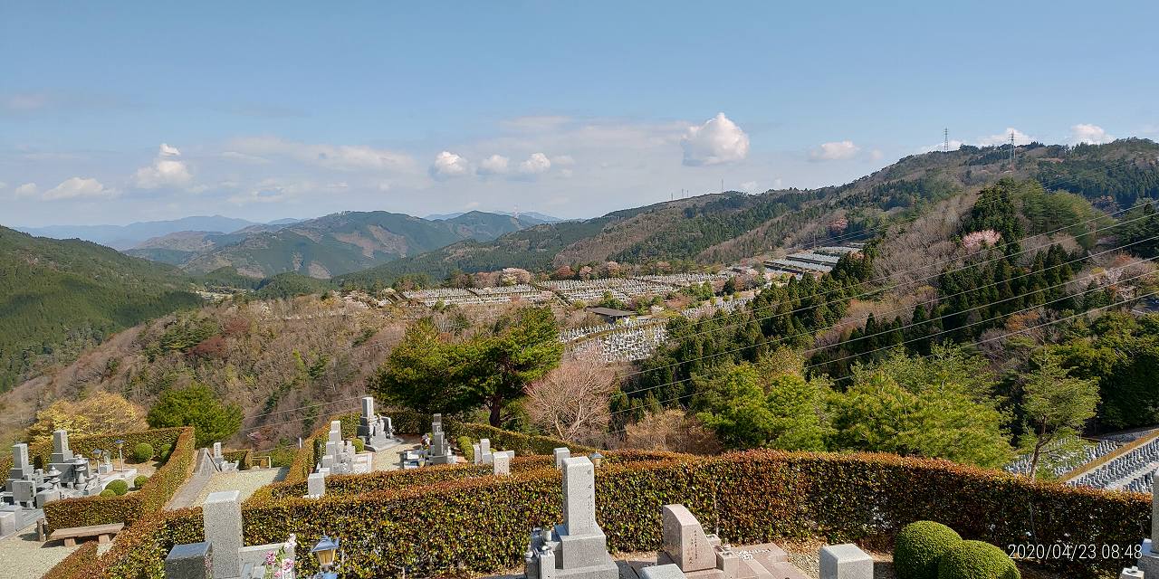 8区5番あずま家から園内（北）風景