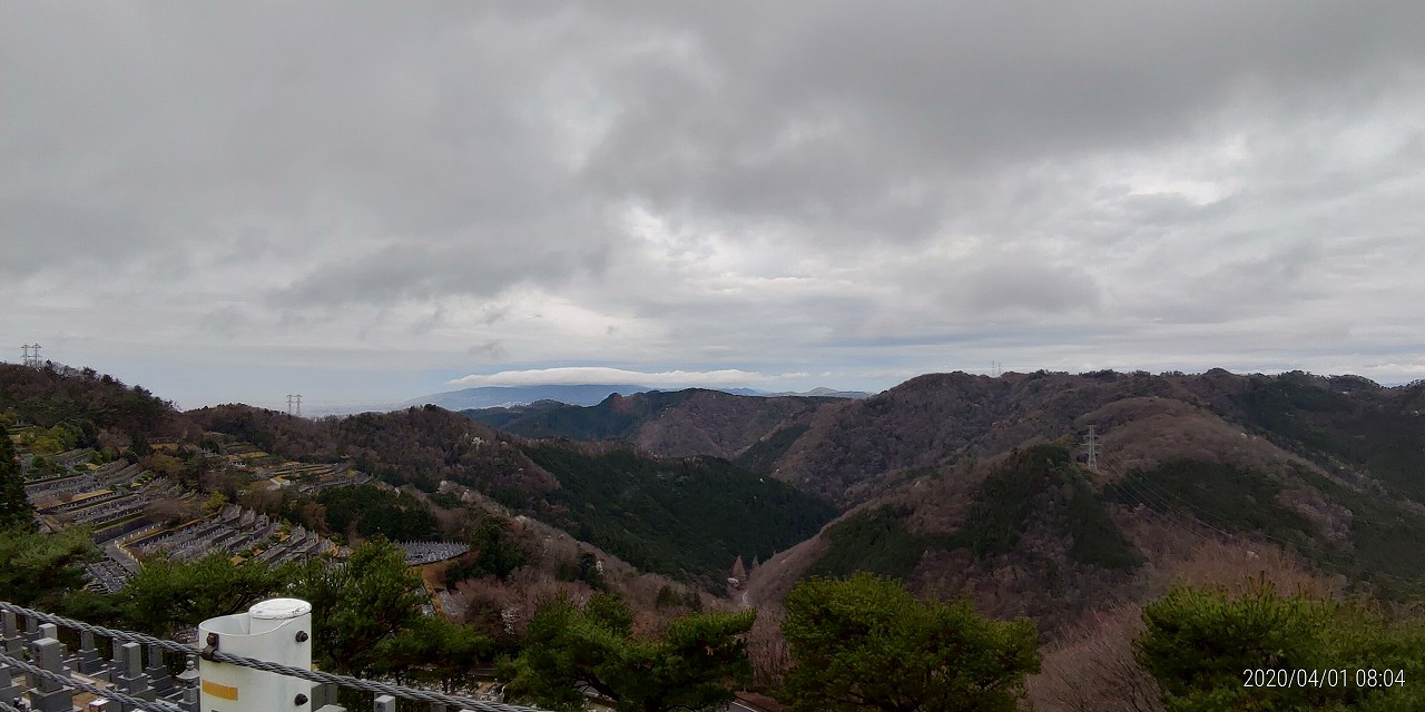 8区4/5番枝道から階段墓域風景