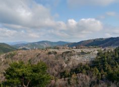 8区4番墓所枝道駐車場から園内風景