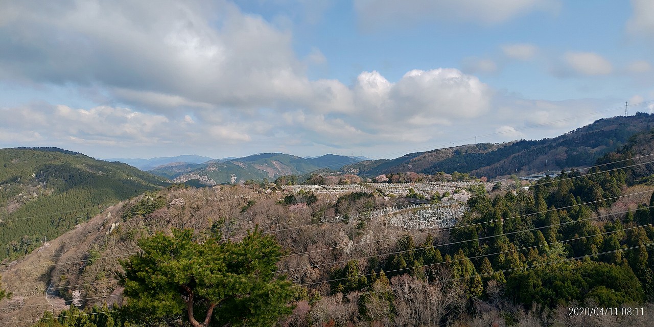 8区4番墓所枝道駐車場から園内風景