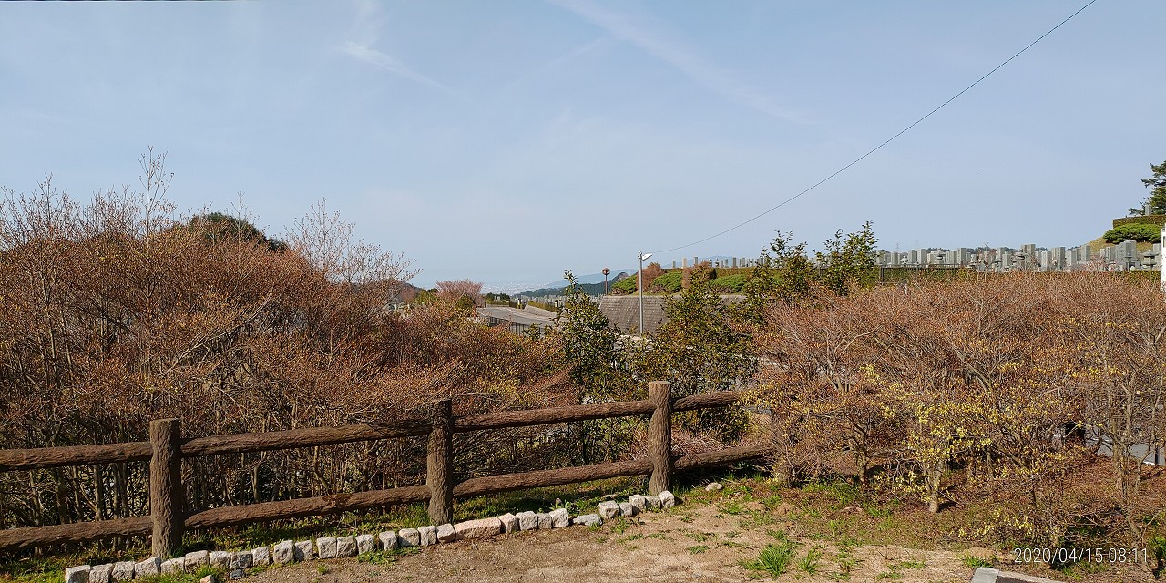 北口休憩所からの園内風景