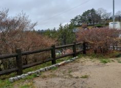 ②　北口休憩所から園内風景