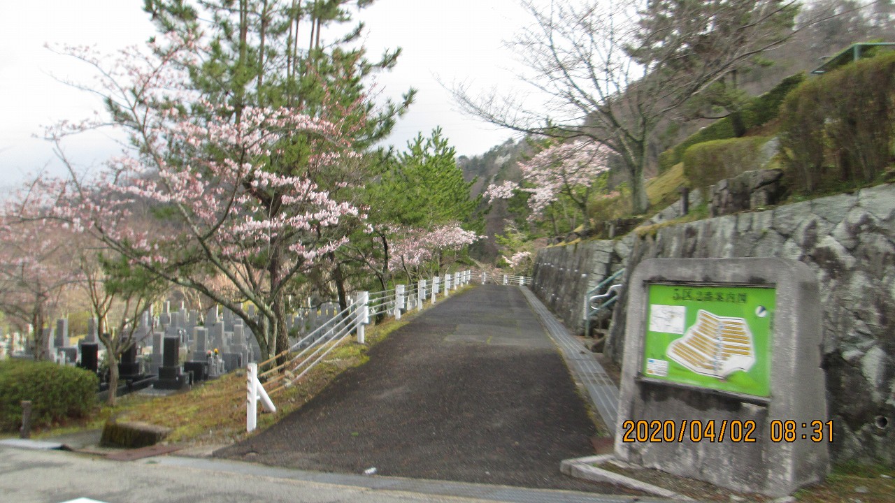 5区1/2番枝道風景