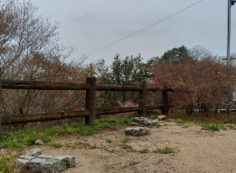 北口休憩所から園内風景