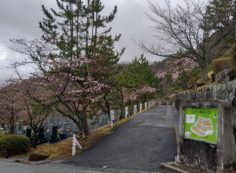 令和2年4月1日　大安　水曜日