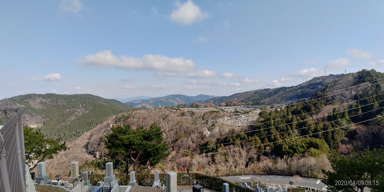 8区4番枝道駐車場から園内風景