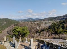 8区4番墓所枝道駐車場から園内風景