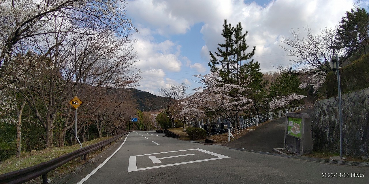 バス通り・5区1番墓所（桜）風景