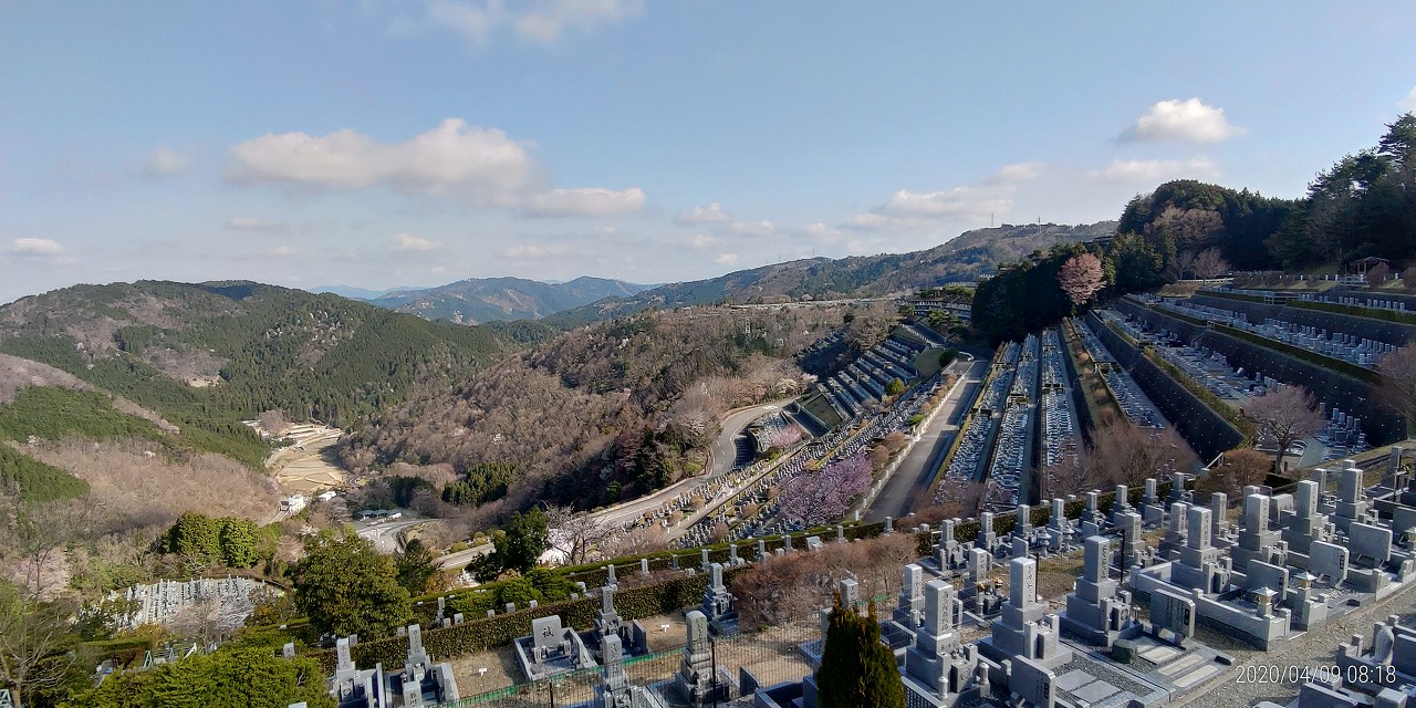 7区3番上位段駐車場から園内風景