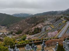 ⑫　7区3番上段駐車場から園内風景