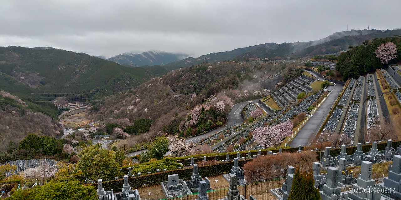 ⑫　7区3番上段駐車場から園内風景