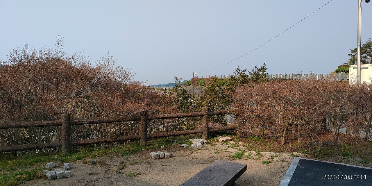 北入口から園内風景