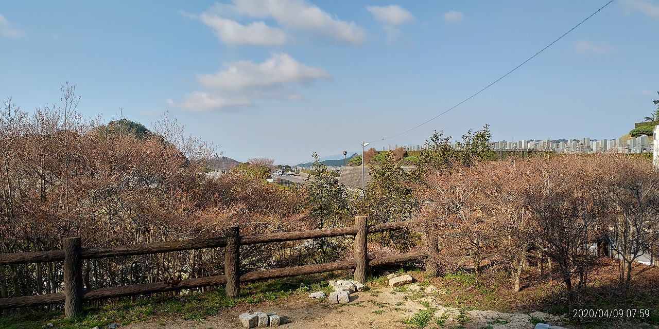 北口休憩所前から園内風景