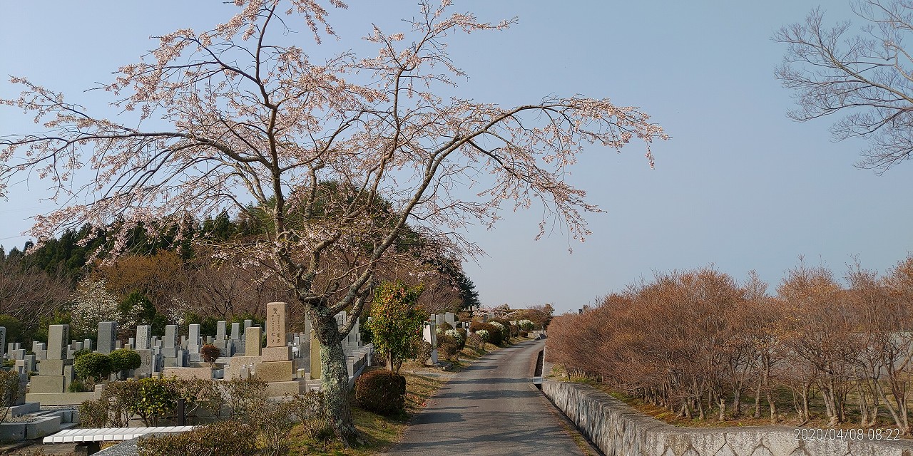 1区10番/臨時駐車場風景