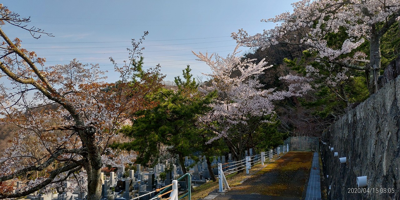 バス通り・5区1/2番墓所枝道風景