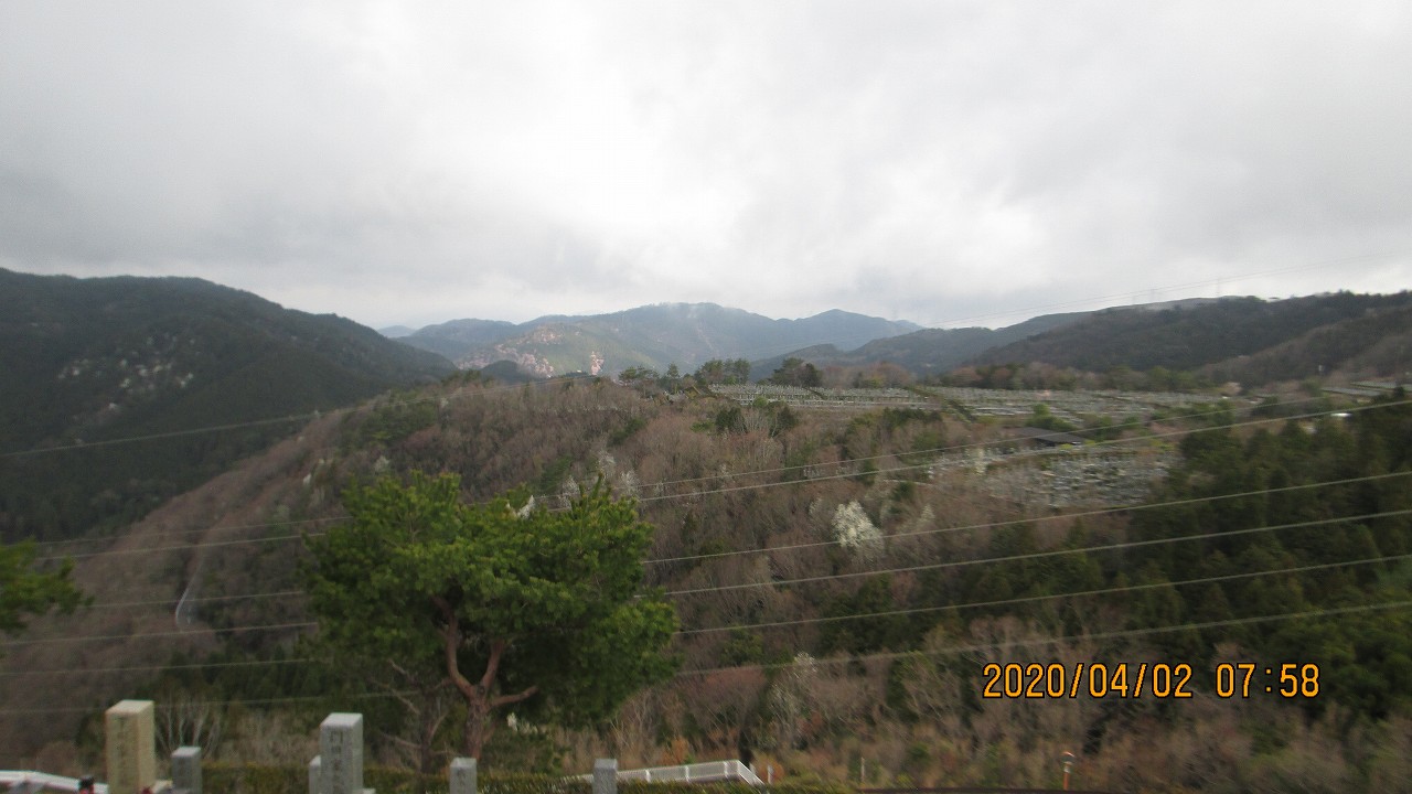 8区4番枝道駐車場から園内風景