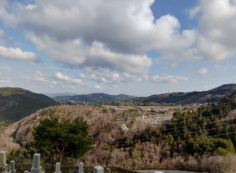 8区4番墓所枝道駐車場から園内風景