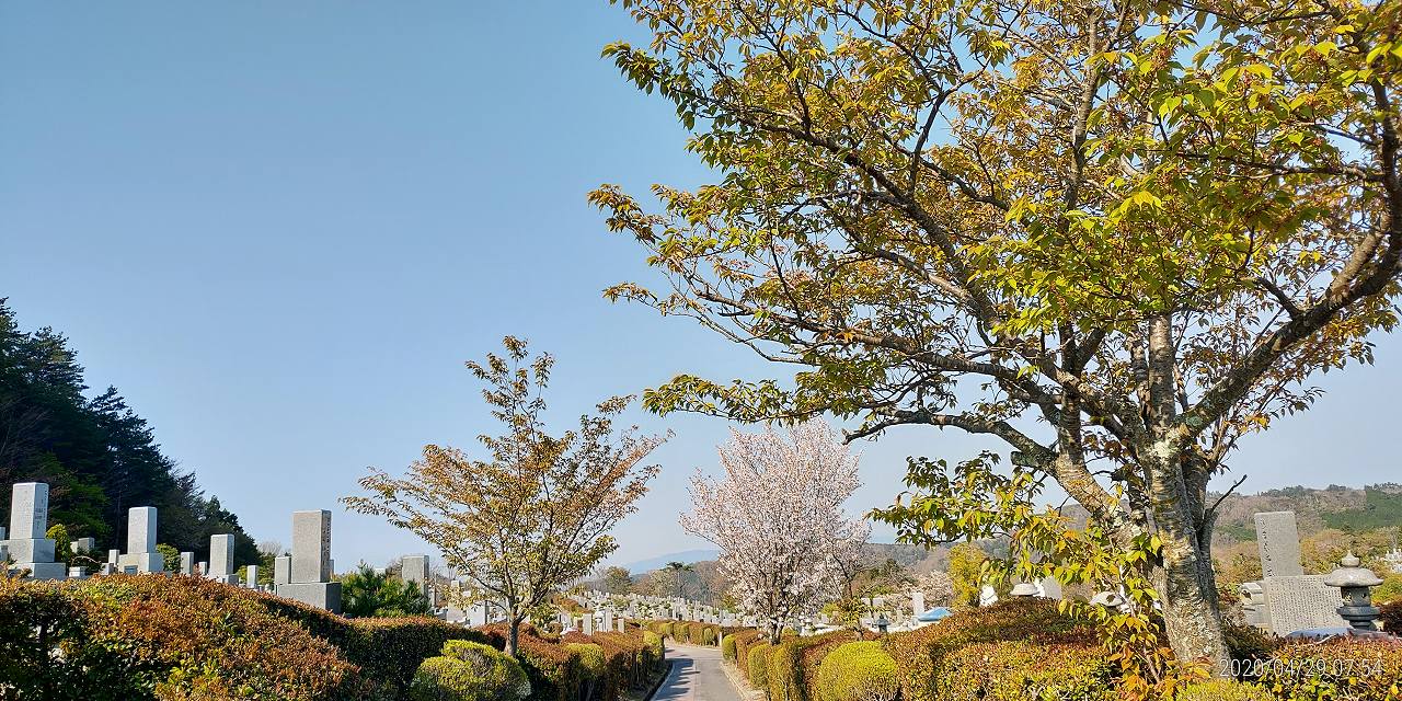 2区1/2番墓所枝道から園内風景