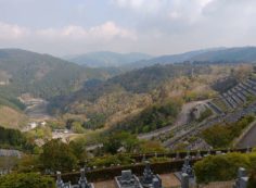 7区３番上段駐車場から園内風景