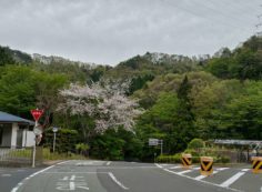 マス通り・5区バス停風景