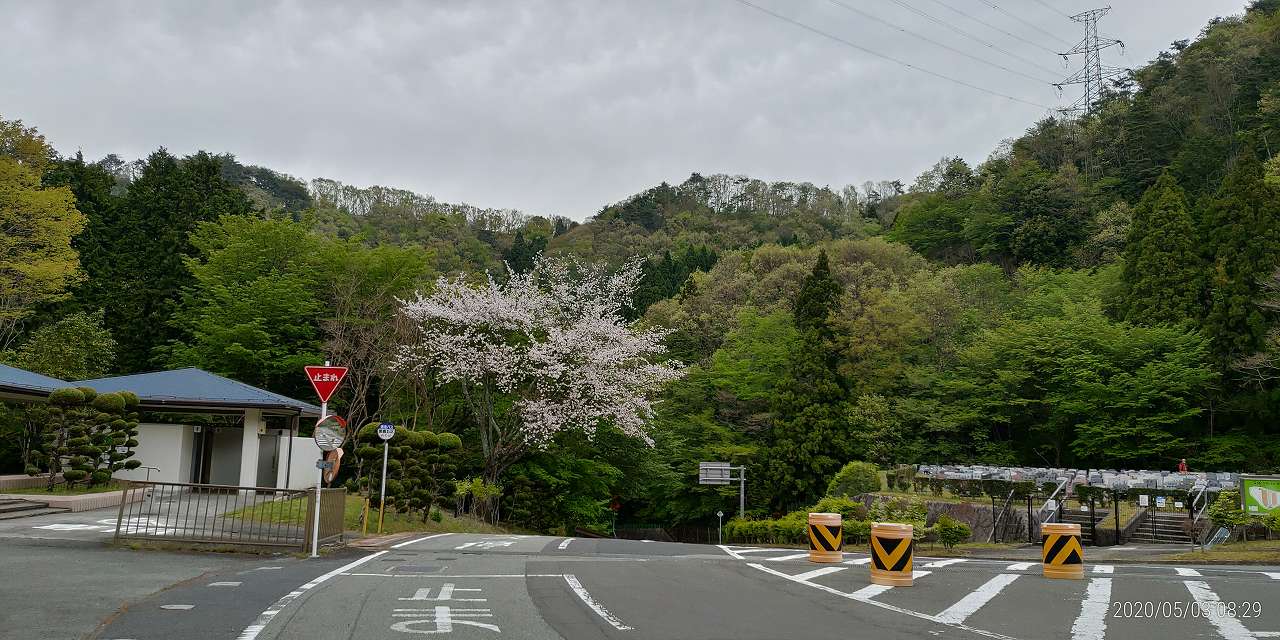 マス通り・5区バス停風景