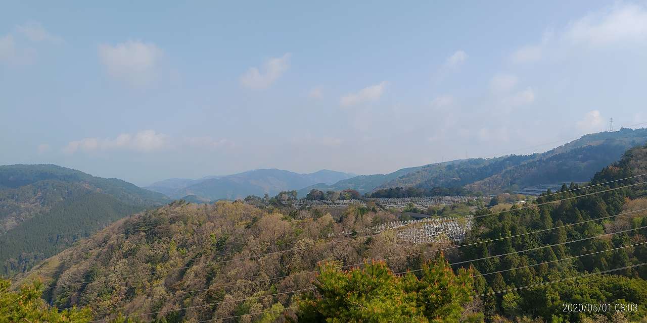 8区4番枝道駐車場から園内風景