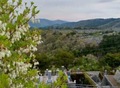 令和2年5月3日　友引　日曜日